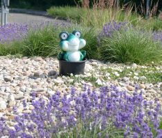 Suchmeldung: Wo ist „Quaki“, der Kreiselfrosch vom Stadtteilverein St. Ilgen?