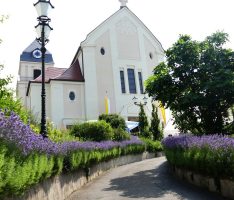 Herz-Jesu-Kirche feierte Patrozinium – Kirche ist „Mitte zwischen Himmel und Erde“