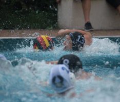 Wasserball: Siege für SGW Leimen-Mannheim gegen Friedberg und Frankfurt