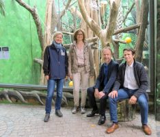 Zoo HD: Sparkasse Heidelberg spendet für Wandbemalung im Lemurengehege