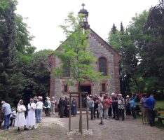 Fußwallfahrt der kath. Kirche: </br>Unterwegs als Rufer in der Wüste