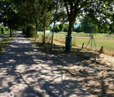 „Feierecke“ an Leimener Hundewiese: Parkbank demontiert- von wem?