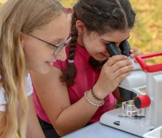 Fr.-Ebert-Gymnasium: „Fisch on Tour“ im Leimbachpark in Wiesloch