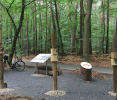 Highlight in der Schwetzinger Hardt: Erlebnisstation am Bannwald „Kartoffelacker“