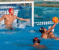 Wasserball-Torwart Bojan Mrdja wechselt zur SGW