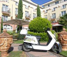 Trotz Bonustag 29. Februar: Neue blaue Versicherungs-Kennzeichen ab 1. März