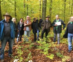 Waldbegehung des Leimener Gemeinderats – Trockenheit machte dem Wald zu schaffen