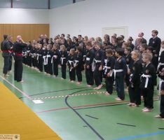 Viele Teilnehmer: Süddeutsche Meisterschaften Viet Vo Dao Formen 2018 in Leimen