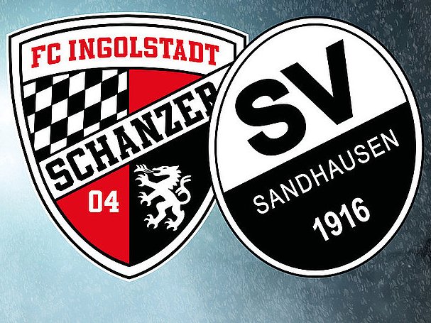 SV Sandhausen in Ingolstadt am 31. März - Fans fahren kostenlos hin und Eintritt frei!