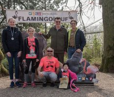 „Pink war beautiful“ beim Flamingolauf 2019 im Heidelberger Zoo