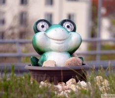 Vermisstenmeldung: St. Ilgener Kreiselfrosch erneut verschwunden – Wo ist er?