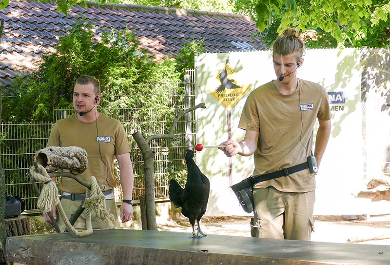 Zoo Heidelberg: Ein Tag bei den Tieren im Live Revier hinter die Kulissen