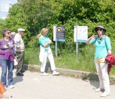 Führung Evolutionsweg: Bei 1000 Meter Erdgeschichte = Zivilisation nur 1 mm