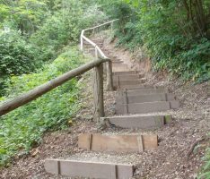 Nußlocher Gemeindewald: Himmelsleiter wieder begehbar