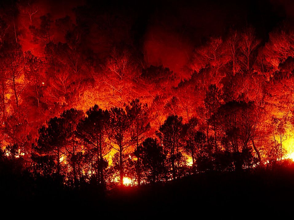 Achtung Waldbrandgefahr!  Waldbesucher werden um besondere Umsicht gebeten