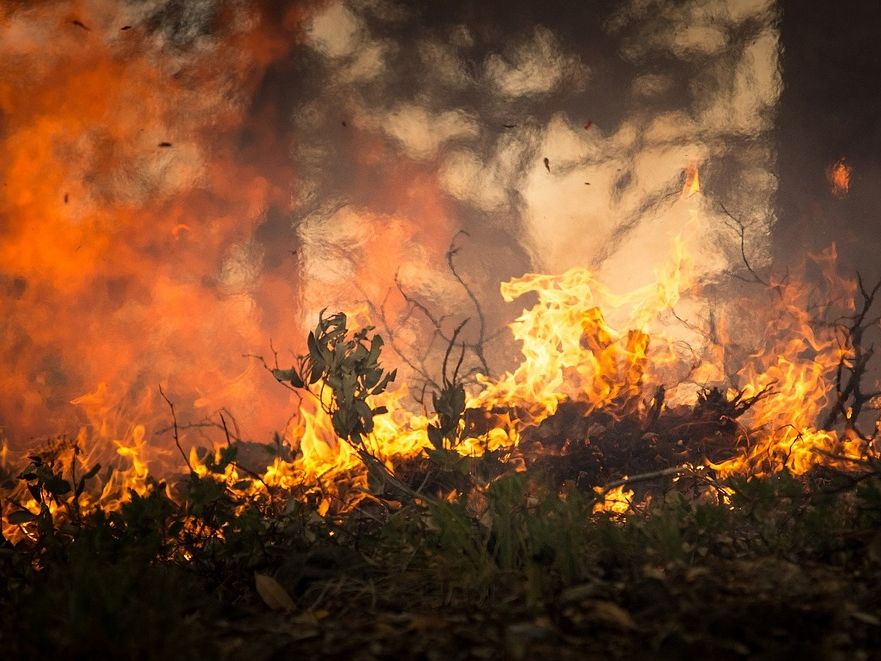 Kreisforstamt: Sonnenschein und Trockenheit führen zu starker Waldbrandgefahr