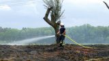 Waldbrand im Bandholz: Brandstiftung vermutet, starke Einsatzkräfte im Einsatz