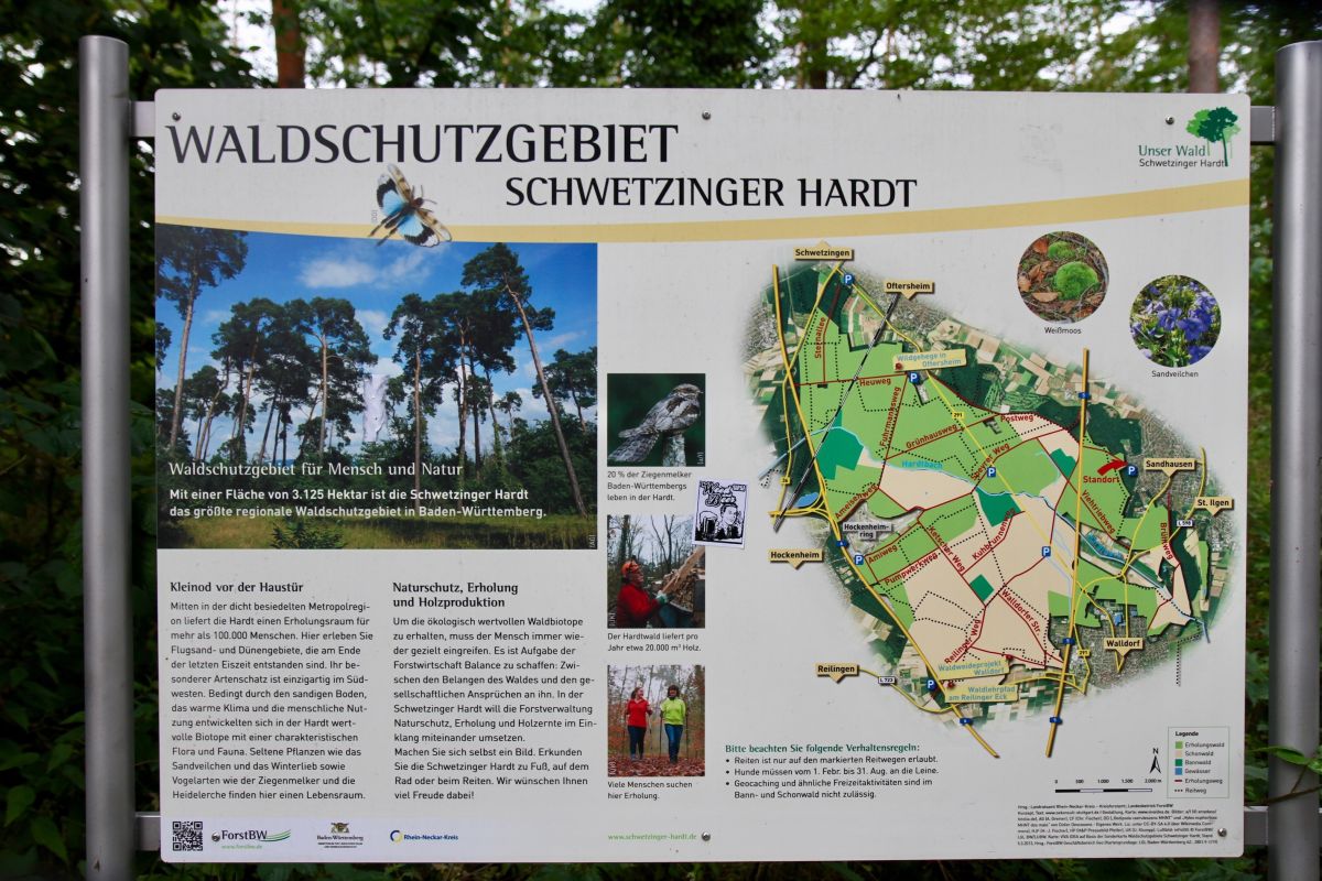Alternative Liste Sandhausen zur geplanten Waldrodung