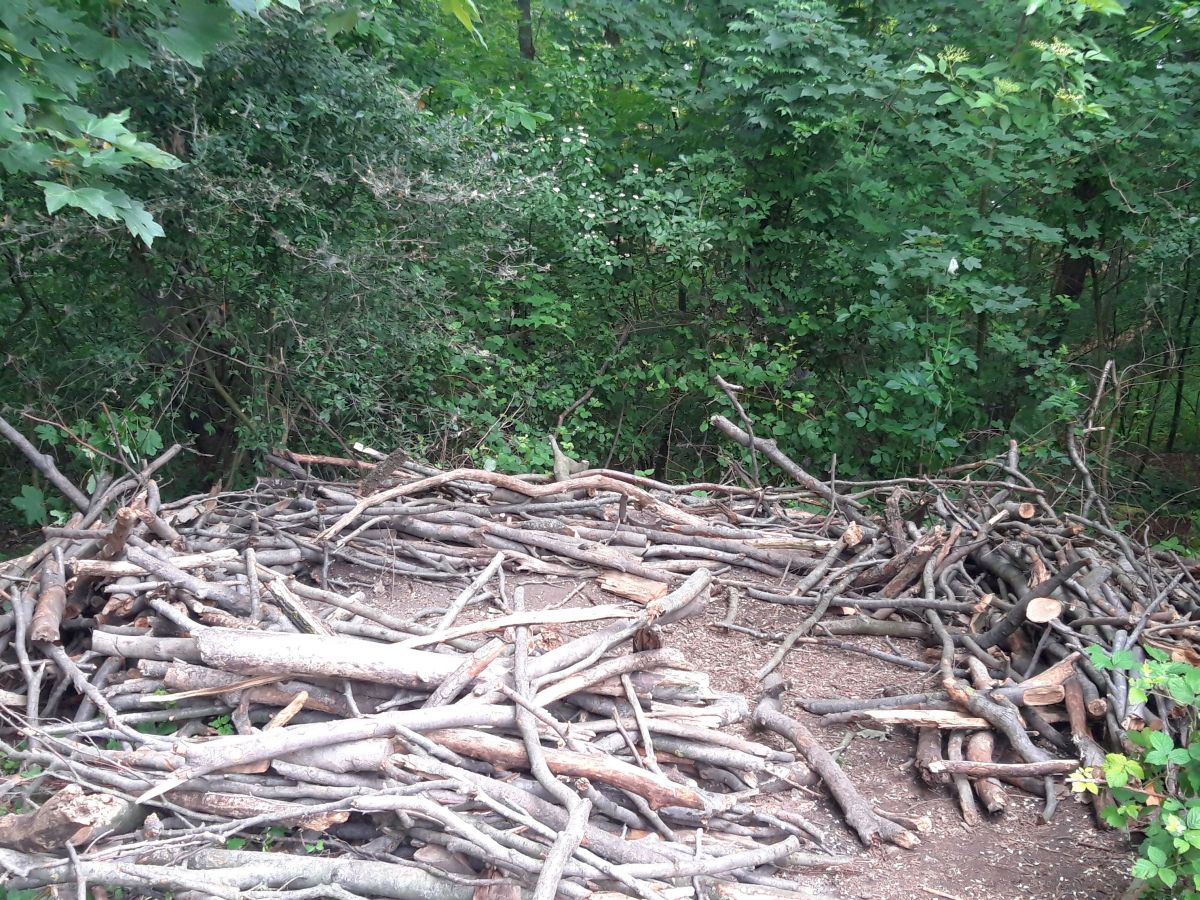 Nußlocher Waldkindergarten leidet unter Vandalismus - Hütte zerstört