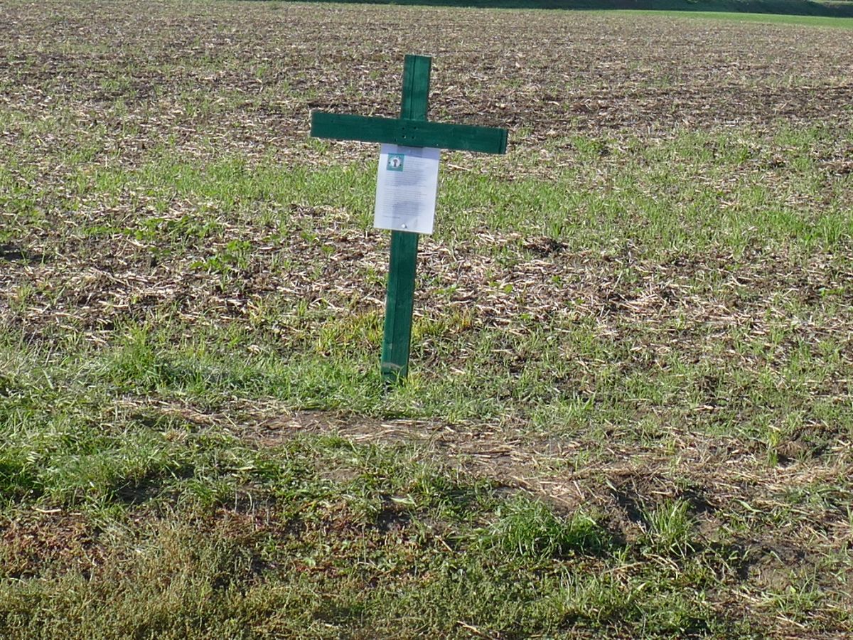 Grünes Kreuz Im Feld