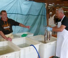 Saisonende: Auch der letzte Backfisch war lecker – „Fischerstübchen“ auf Pächtersuche