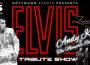 ELVIS Tribute-Show mit Andy King & The Memphis Riders im Landgut Lingental