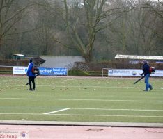 VfB-Freiwillige säubern Otto-Hoog-Stadion von Tonnen von Laub