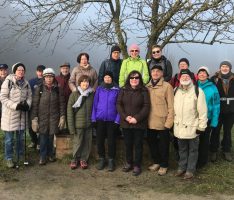 Dreikönigswanderung des TV Germania bei Sonne, Frost und Nebel