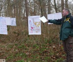 Wald in St. Ilgen: Nach Holzeinschlag Neuanpflanzung klimatisch angepasster Baumarten