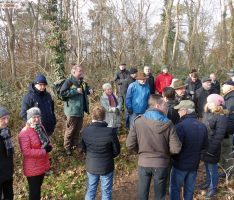 Waldbegehung in Leimen-St. Ilgen: Schwerste Dürreschäden – Kaum ein Baum überlebt
