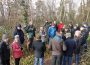 Waldbegehung in Leimen-St. Ilgen: Schwerste Dürreschäden – Kaum ein Baum überlebt
