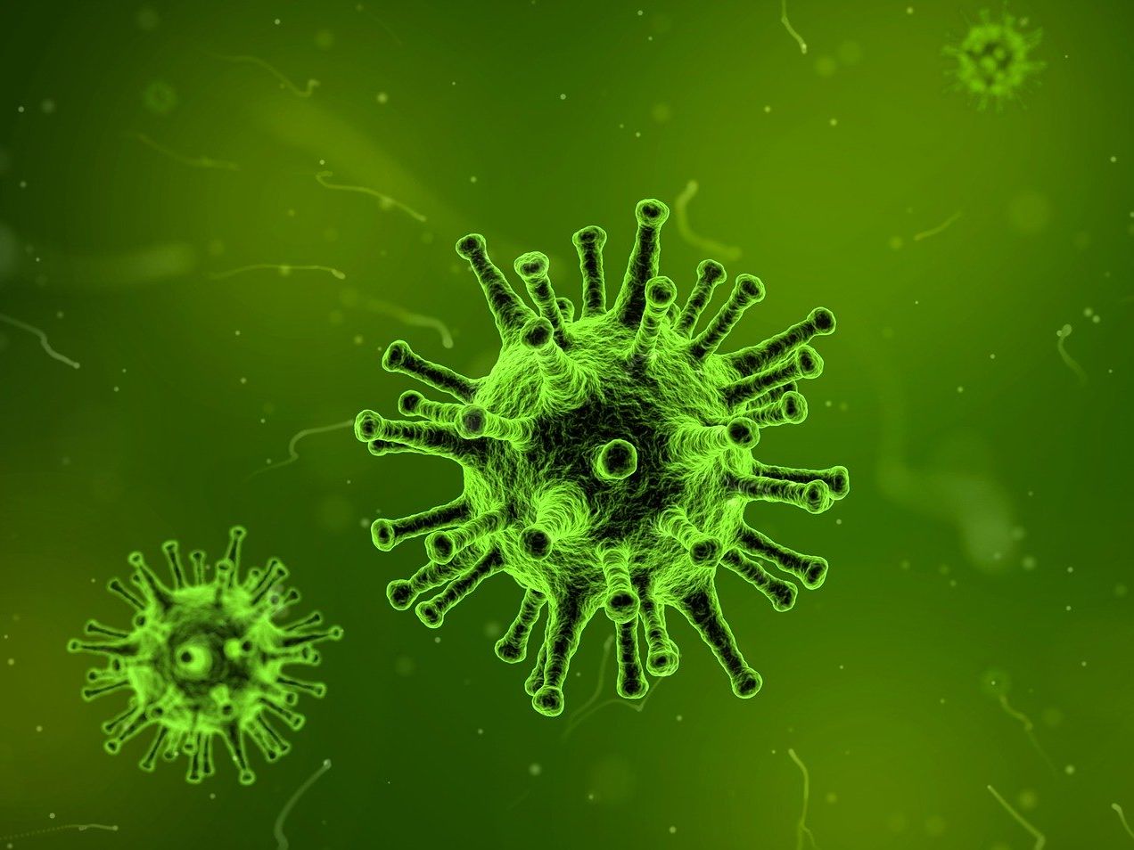 Corona-Virus zurück in Leimen und Sandhausen - je ein Fall