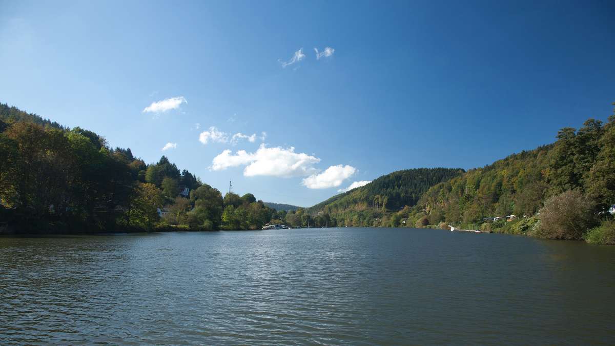 Gesundheitsamt rät vom Baden im Neckar ab - Wasserqualität nicht ausreichend