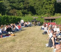 Der Vorhof zum Paradies: 99 Genießer und ein Antrag beim Picknick im Weinberg