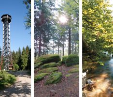 Sommerferien in der Region: </br>Heimat neu entdecken – Sechs Freizeit-Tipps