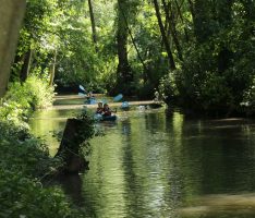 Heimat neu entdecken: „Amazonas des Kraichgaus“ & „Kleiner Odenwald“