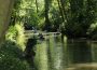 Heimat neu entdecken: „Amazonas des Kraichgaus“ & „Kleiner Odenwald“