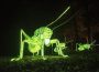 Zoo-Leuchten findet nicht statt – </br>Energiesparen ernst nehmen
