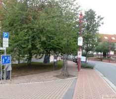 Städtischer Service für Hundehalter: Zusätzlicher Tütenspender aufgestellt