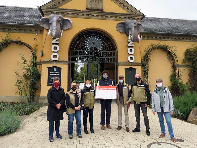 Für Gorilla-Außenanlage: Tiergartenfreunde spenden 30.000 Euro an den Zoo