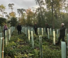 Waldbegehung des Gemeinderates: </br>Kiefern und Buchen leiden am stärksten