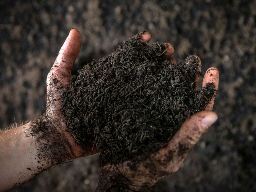 Amtlich: Sinsheimer AVR Bioabfall-Vergärungsanlage produziert ausgezeichneten Kompost