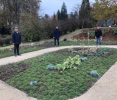 Neues Gärtner-gepflegtes Gräberfeld auf dem Bergfriedhof in Leimen