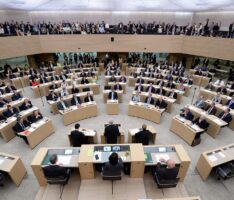 Hauptversammlung der FDP Leimen: Alexander Hahn als Vorsitzender bestätigt