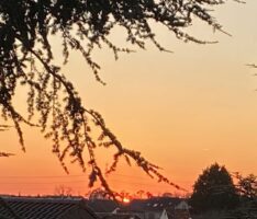 Fesh Fesh – Trockener Wüstenstaub über der Region – Tolle Sonnenuntergänge