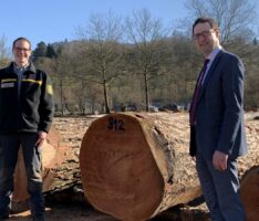 Nadelwertholz-Submission:  Wertvollster Stamm kommt aus dem Stadtwald Weinheim