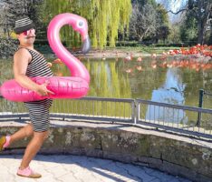 Der Corona-Speck muss weg – Fitnessübungen bei den Tieren im Zoo