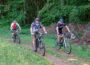 Illegale Mountainbike-Strecke in Gauangelloch – Forstamt sucht Dialog mit Verantwortlichen