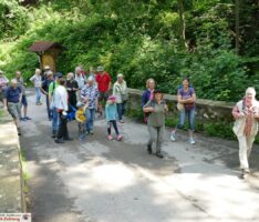 Wildbienen und andere Tiere im Leimener Wald – Wanderung mit Anita Kühner