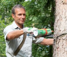 „Das Ziel ist ein stabiler und vielfältiger Wald“ – Förster Uwe Reinhard über seinen Beruf